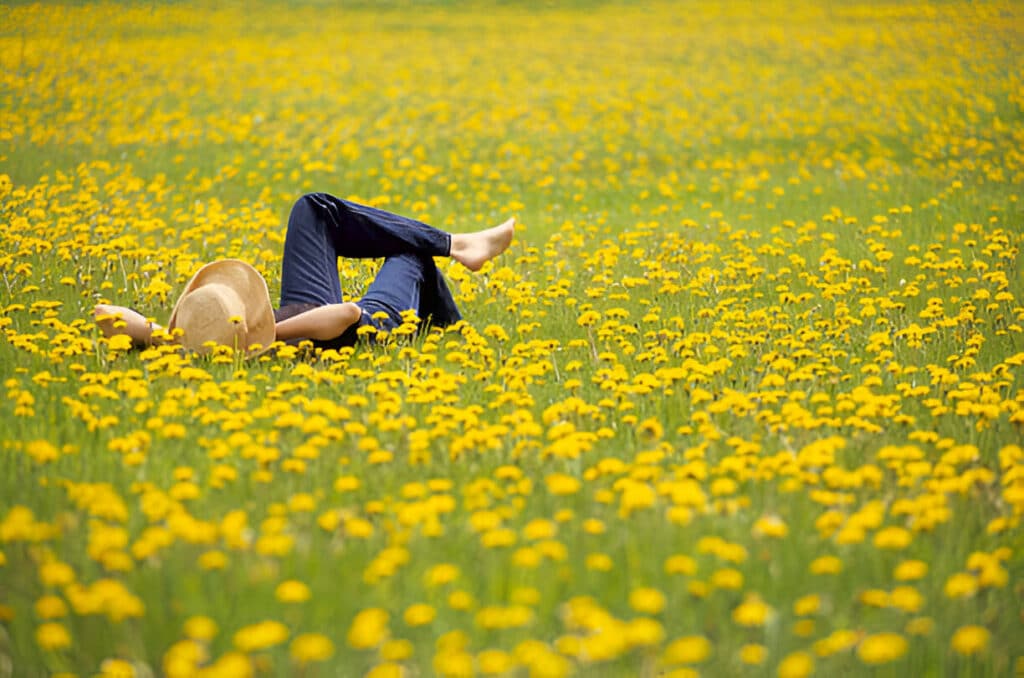 Effective Stress Management Techniques